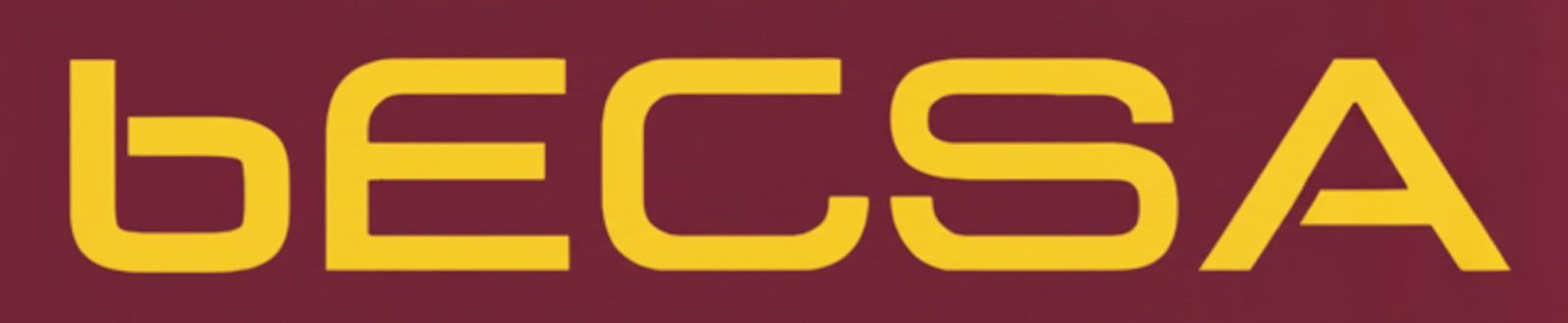 HJT Solar Module Partner